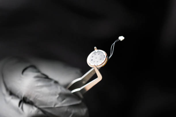 istockphoto 1347282492 612x612