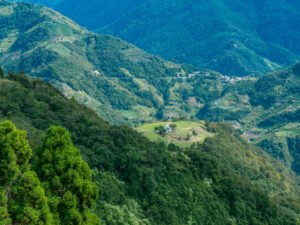 beautiful bright landscape with green mountain field sunny day