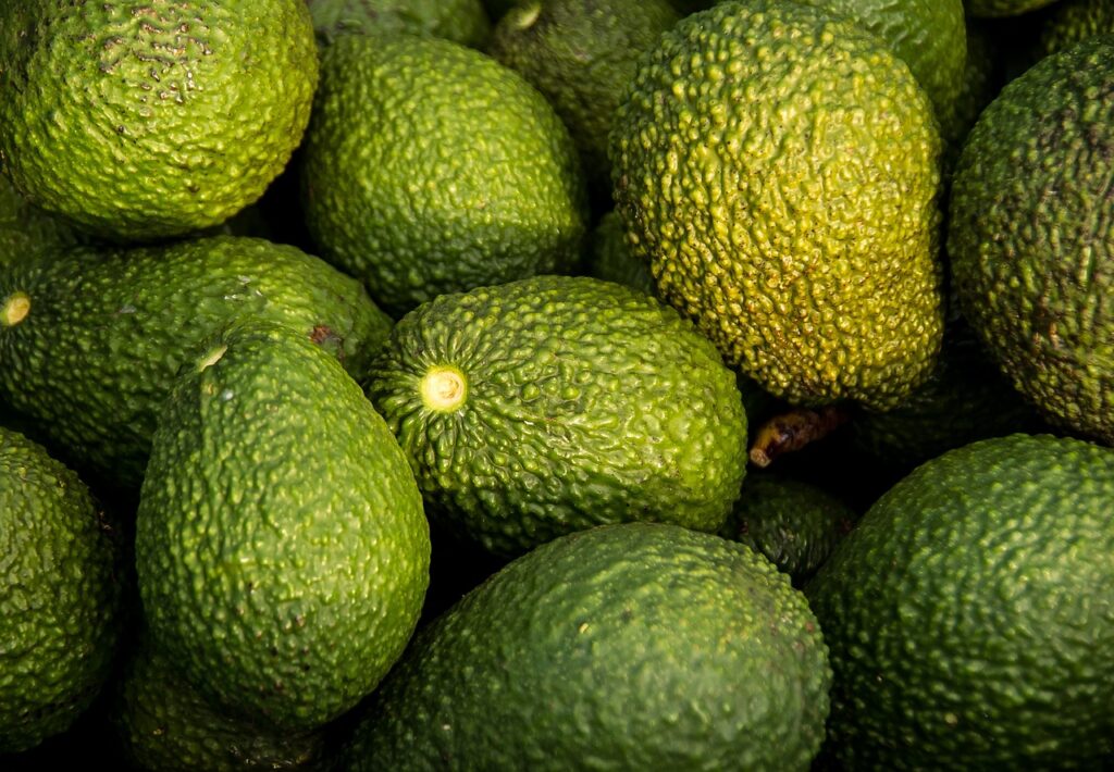 avocado plantare sambure