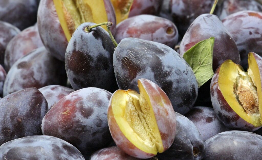 distanta plantare pomi fructiferi