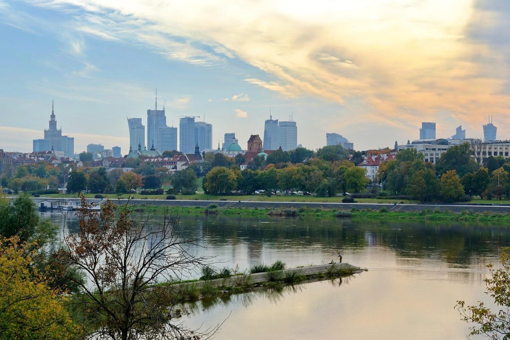 Top 10 cele mai frumoase plante de apartament verdeata si prospetime in casa ta