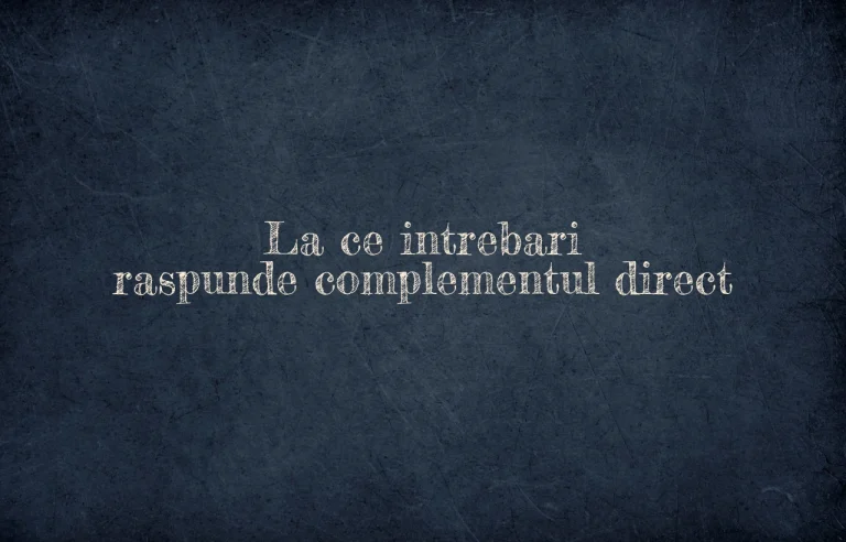 la ce intrebari raspunde complementul direct