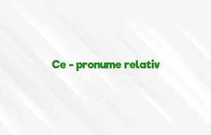 ce pronume relativ
