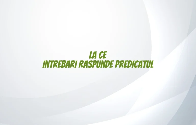 la ce intrebari raspunde predicatul