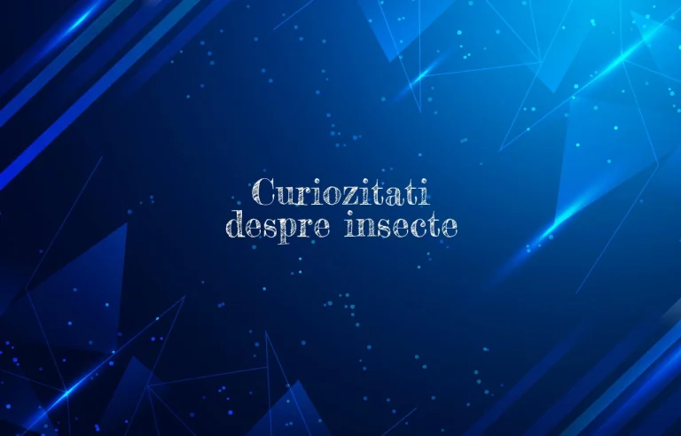 curiozitati despre insecte