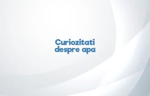 curiozitati despre apa