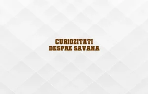 curiozitati despre savana