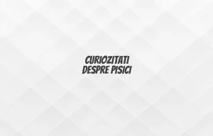 curiozitati despre pisici