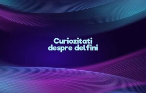 curiozitati despre delfini