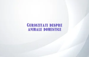 curiozitati despre animale domestice