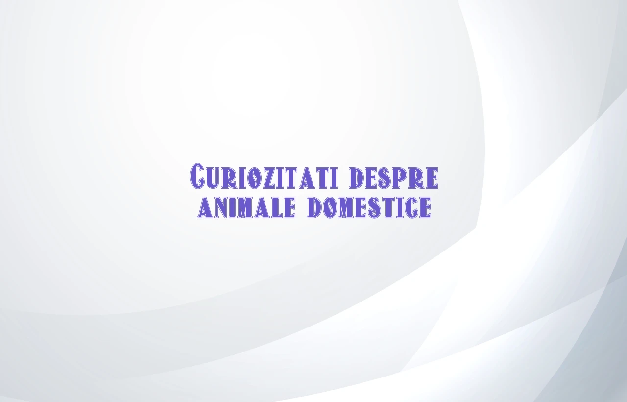 curiozitati despre animale domestice