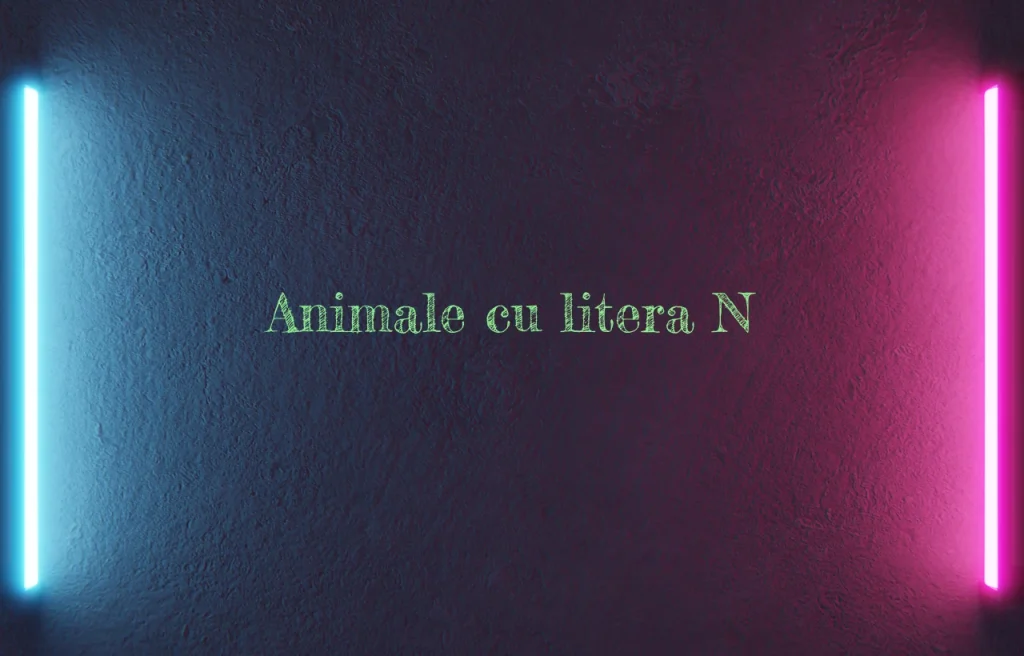 animale cu litera n