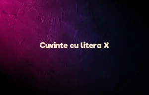 cuvinte cu litera x