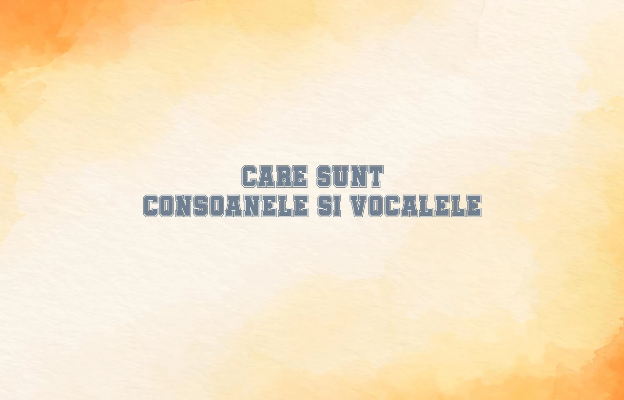 care sunt consoanele si vocalele