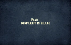 pian despartit in silabe