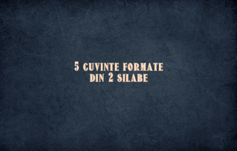 5 cuvinte formate din 2 silabe