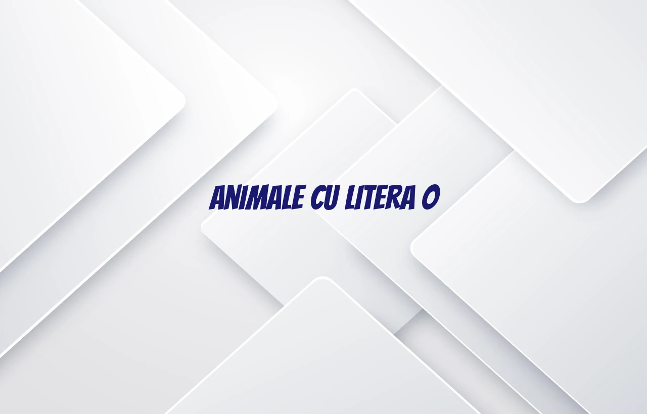 animale cu litera o