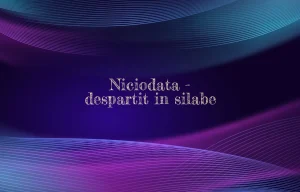 niciodata despartit in silabe
