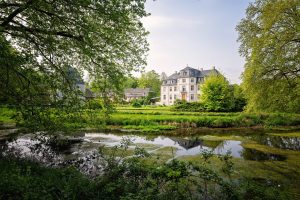 castelul nopcsa