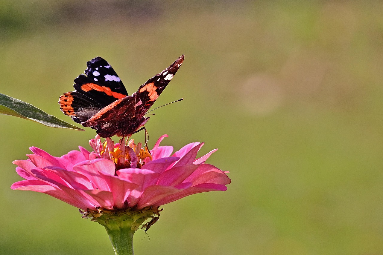 Cum alegi in Romania locul potrivit pentru stocarea celulelor stem?